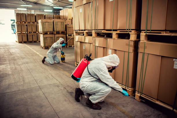 Crisfield, MD Pest Control Pros