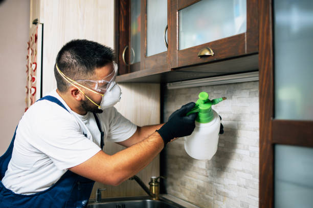 Best Cockroach Control Services  in Crisfield, MD